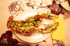 ALAIN DE SAINT-JORES - ADSJ-Photographe